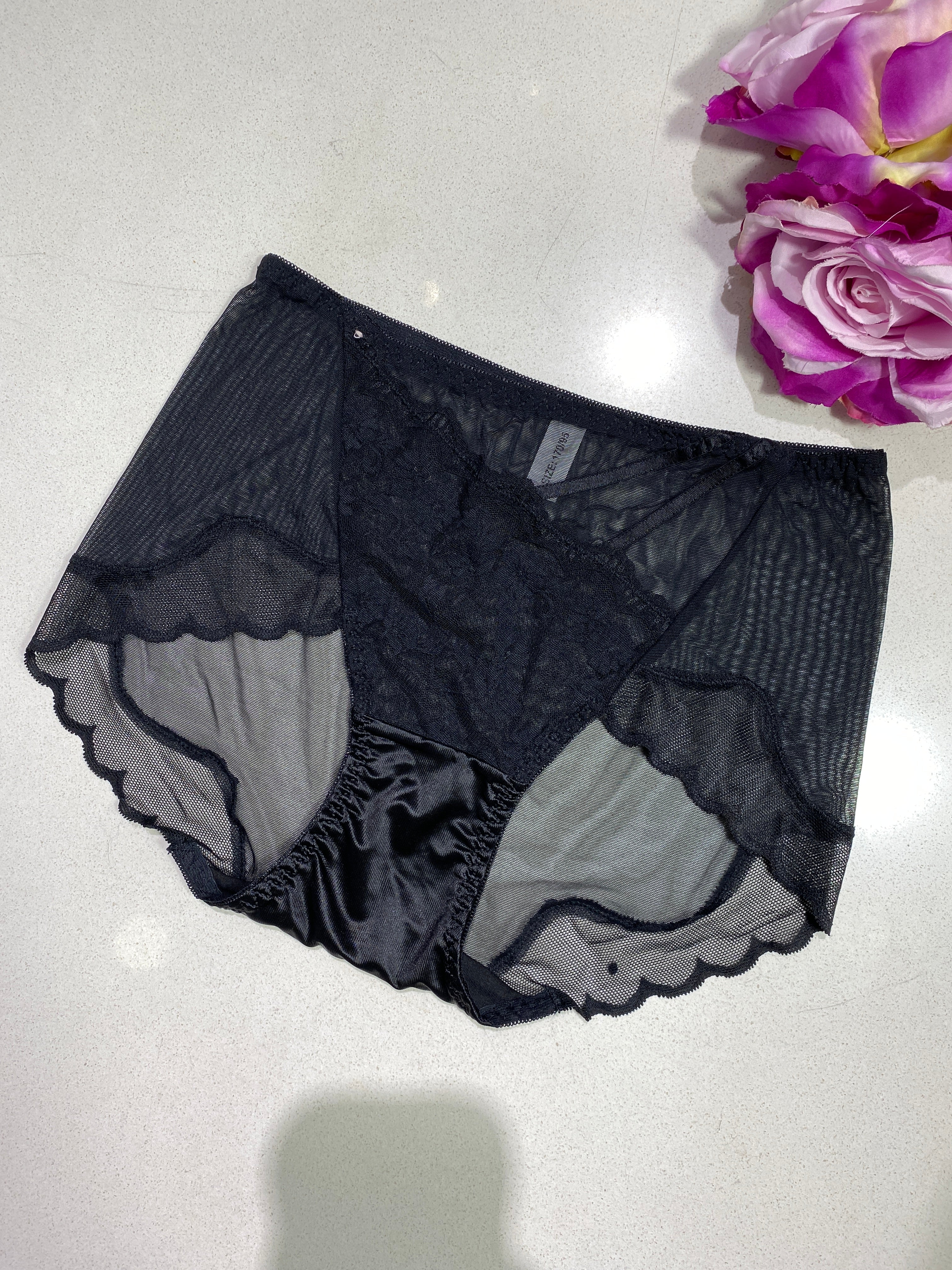 Black Lace & Mesh Brief Panty