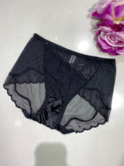Black Lace & Mesh Brief Panty