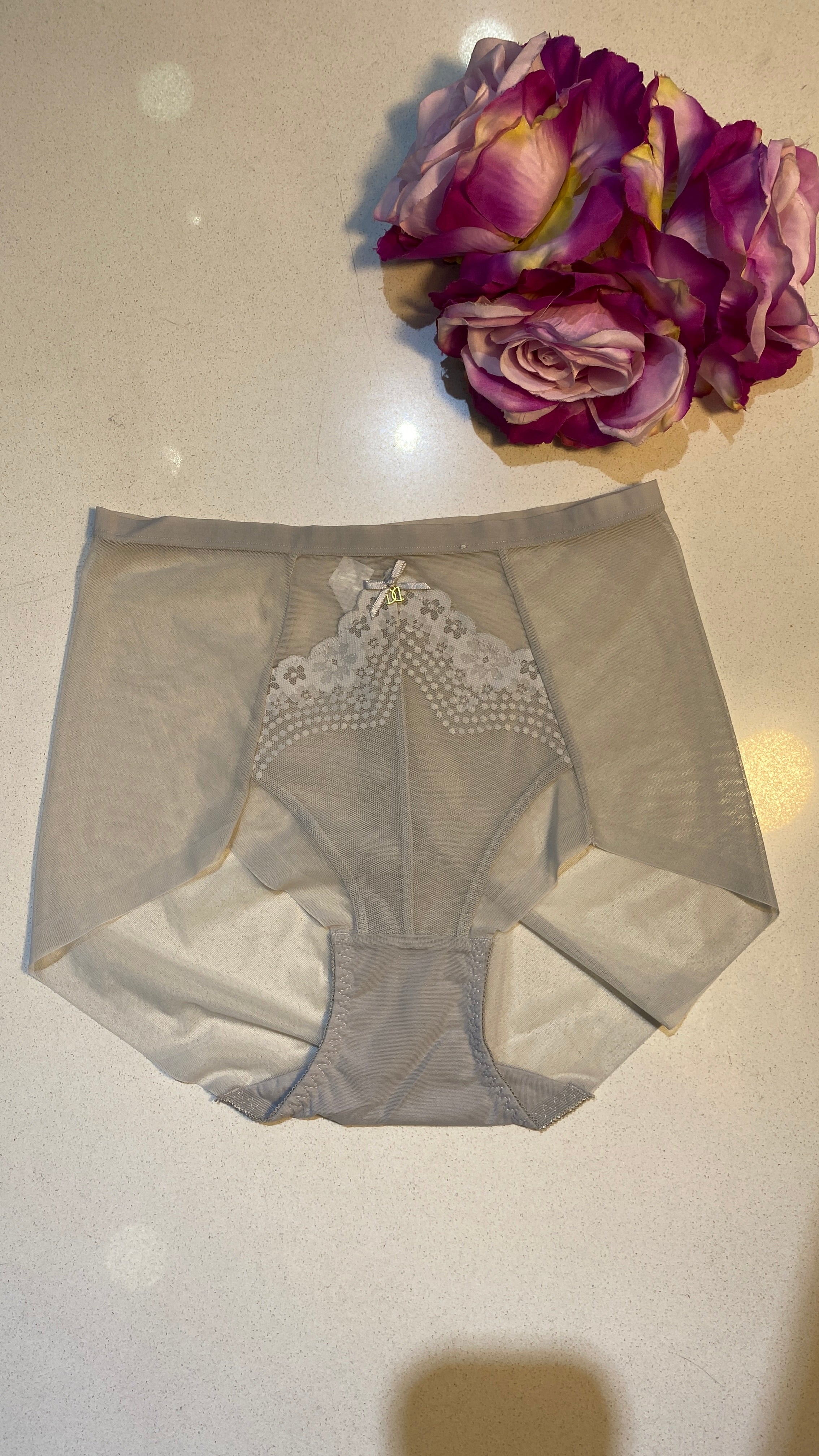 Malaika Sheer Mesh Lace Panty